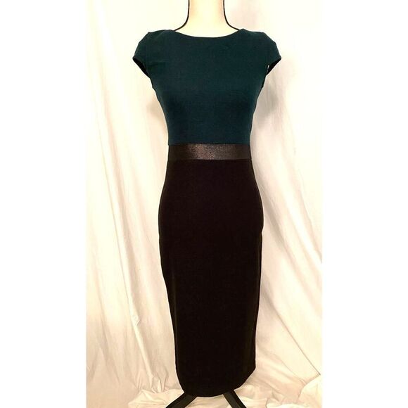 NWT M by MAIOCCI Sheath Dress Exposed Zipped Metallic Silver Sheen S - Picture 7 of 9